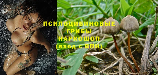 стафф Дмитровск