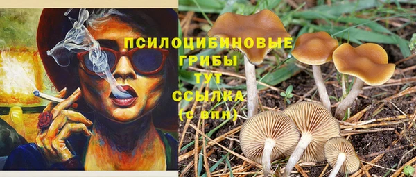 стафф Дмитровск