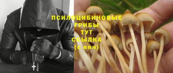 MESCALINE Дмитриев