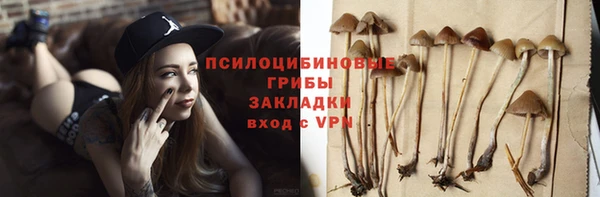 стафф Дмитровск