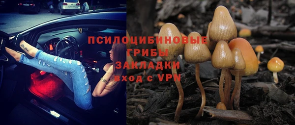 стафф Дмитровск