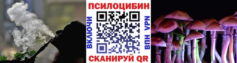 Купить  Новая Ляля  Псилоцибиновые грибы мицелий 